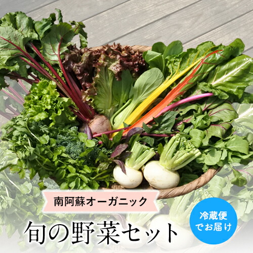 【ふるさと納税】南阿蘇オーガニック 旬の野菜セット10種類以上詰め合わせ《30日以内に出荷予定(土日祝除く)》熊本県 南阿蘇村  野菜 カブ ビーツ サニーレタス クレソン ブロッコリー 水前寺菜 ほうれん草２種 チンゲン菜 春菊 スイスチャード
