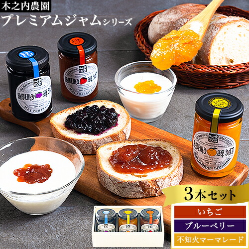 【ふるさと納税】阿蘇 木之内農園 プレミアムシリーズ 3本セット 1本 150g&times;3 いちご ブルーベリー 不知火マーマレード《30日以内に出荷予定(土日祝を除く)》 熊本県 南阿蘇村 ジャム いちご ブルーベリー 不知火マーマレード ジャム スイーツ ギフトセット 送料無料｜熊本県南阿蘇村