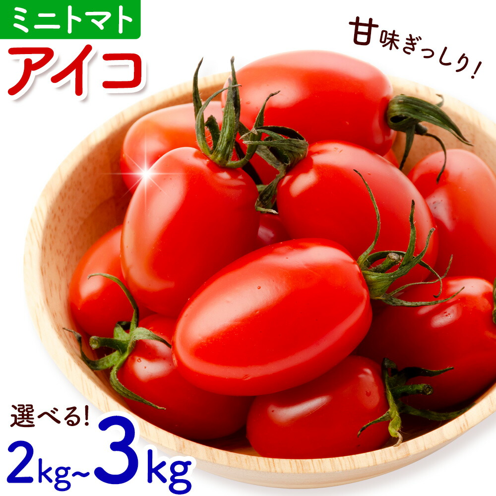 ミニトマト