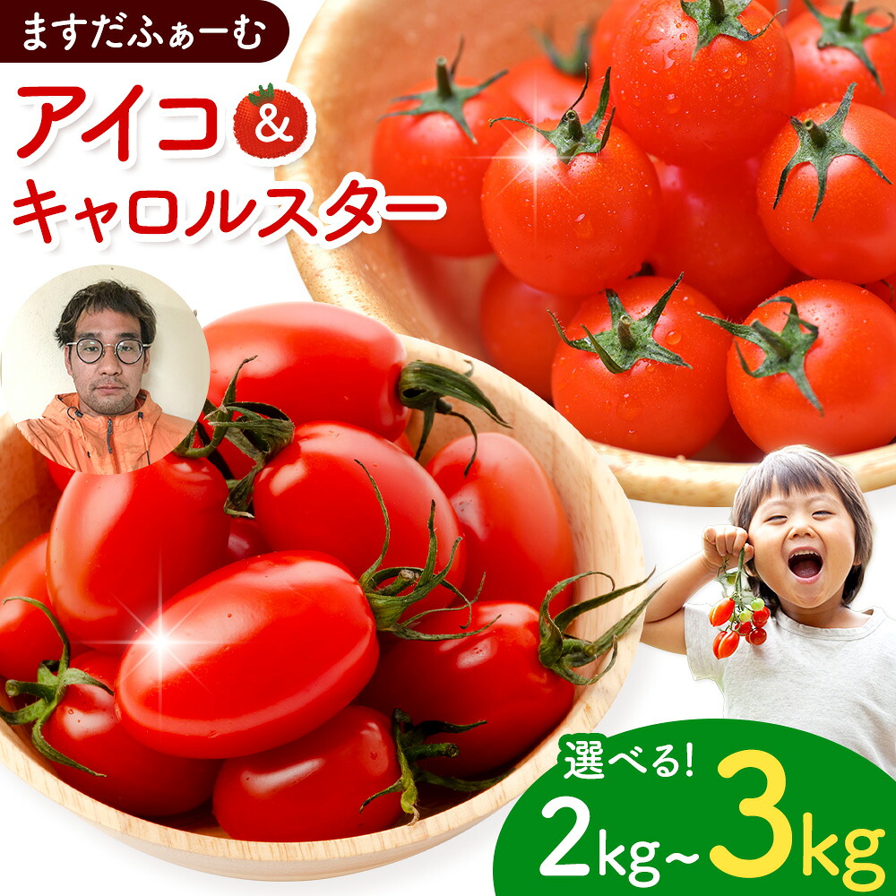 【ふるさと納税】ミニトマト アイコ＆キャロルスター 選べる 種類 内容量 約2kg 約3kg ますだふぁーむ《7月上旬-11月末頃出荷》熊本県 南阿蘇村 アイコトマト キャロルスター 野菜 旬 夏野菜 トマト｜熊本県南阿蘇村
