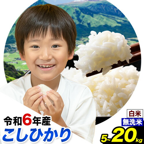 【ふるさと納税】 令和6年産 無洗米 も 選べる こしひかり 白米 or 無洗米 選べる精米方法  内容量 5kg 10kg 15kg 20kg 白米 精米 無洗米 熊本県産(南阿蘇村産含む) 単一原料米 南阿蘇村 産 米《7-14日以内に出荷予定(土日祝除く)》