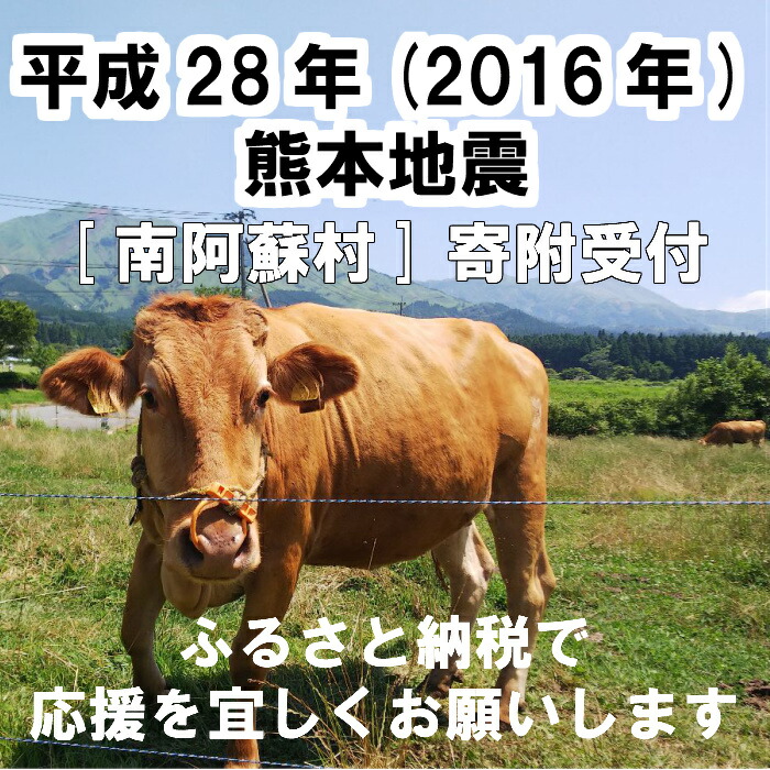 楽天市場 ふるさと納税 平成28年熊本地震被害復興に関する支援 返礼品なし 南阿蘇村 熊本県南阿蘇村