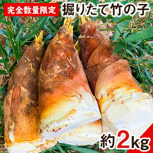 楽天市場】【ふるさと納税】＜先行予約受付中！2025年12月下旬