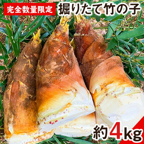 早掘り筍４ｋｇ　9,200円 a806_02.jpg