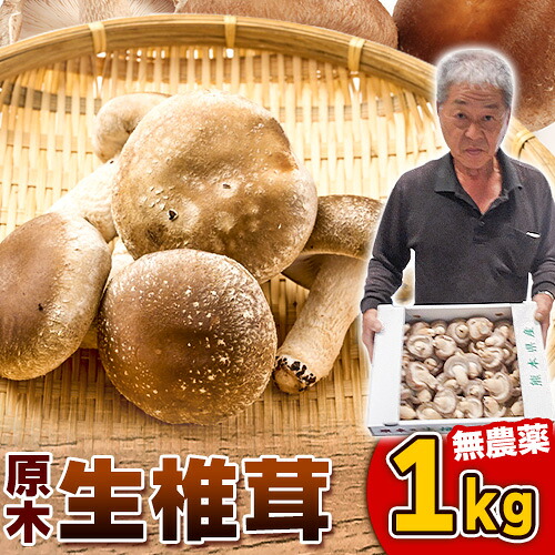 【ふるさと納税】【先行予約】しいたけ 椎茸 生椎茸 1kg 荒木農産《11月上旬-3月中旬頃出荷》熊本 御船 原木椎茸 送料無料｜熊本県御船町 8,625円