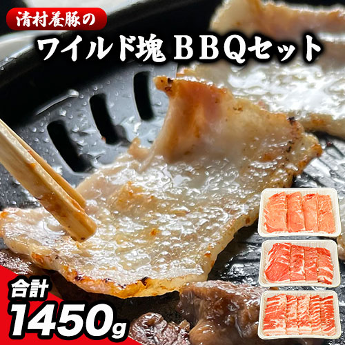 【ふるさと納税】ワイルド塊BBQセット 計1450g 清村養豚《30日以内に出荷予定(土日祝除く)》 豚 肉 冷凍 小分け 熊本県御船町 カタ モモ バラ バーベキュー 熊本 御船|熊本県御船町
