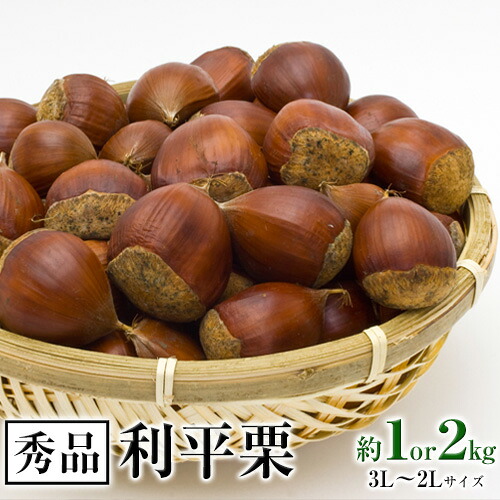 【ふるさと納税】【先行予約】利平栗 熊本県御船町産限定 約1 or 2kg(3L-2Lサイズ) 秋 旬 野菜 予約 スイーツ きんとん 甘露煮 渋皮煮 栗ご飯 熊本県御船町《2026年9月上旬-2026年10月上旬頃出荷》