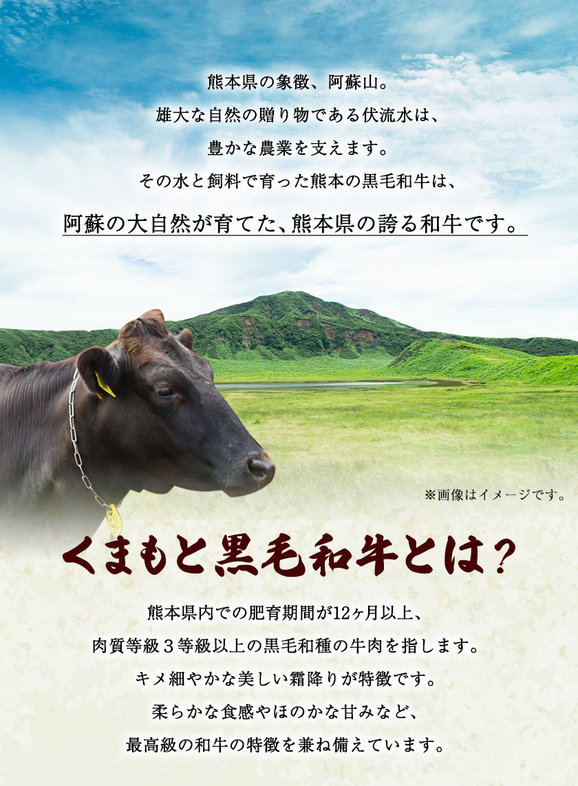 新作アイテム毎日更新 くまもと黒毛和牛 肩ロース すき焼き しゃぶしゃぶ用 400g 肉のみやべ 《90日以内に順次出荷 土日祝除く 》 すきやき 牛丼  fucoa.cl