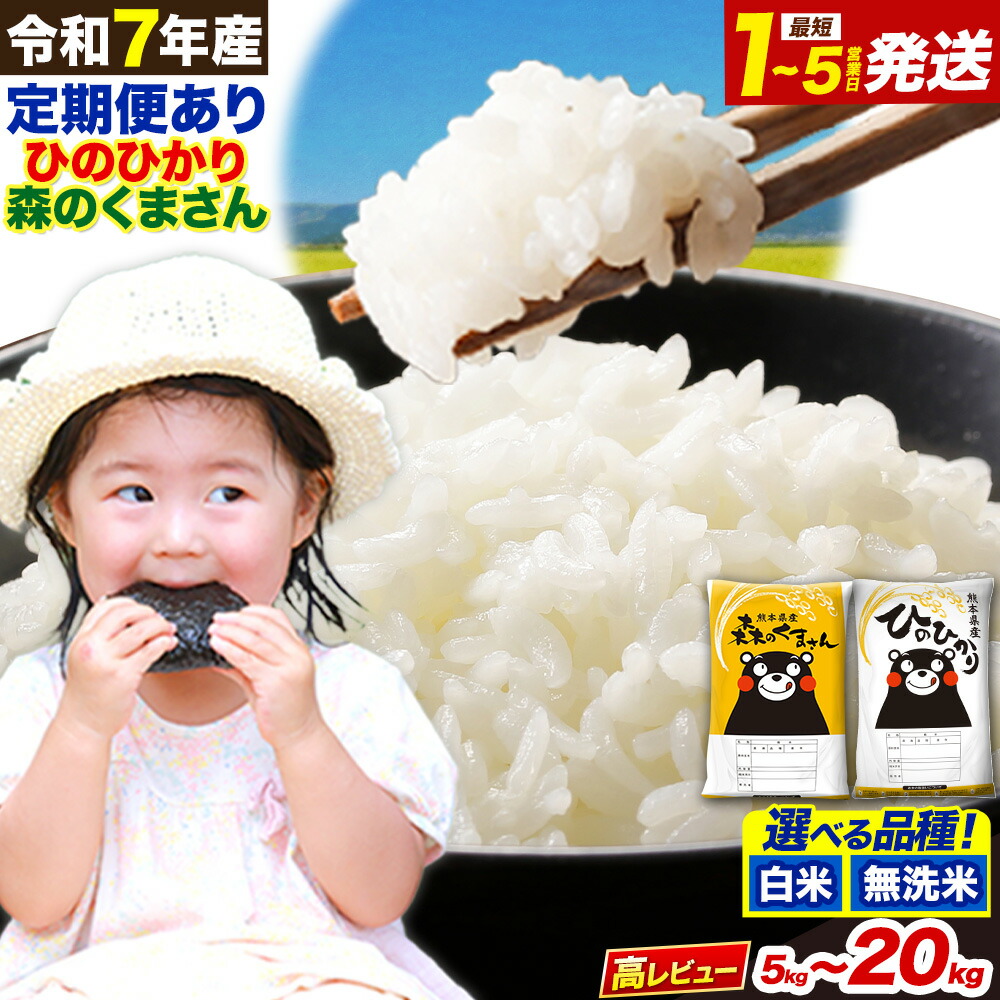 【ふるさと納税】令和7年産 無洗米 も選べる ひのひかり 森のくまさん 5kg 10kg 20kg 《出荷時期をお選びください》 高レビュー 熊本県産 無洗米 白米 精米 ひの 米 こめ ふるさとのうぜい ヒノヒカリ コメ 熊本米ひのもり 食べ比べ 定期便 ブランド米 こしひかり コシヒカリ