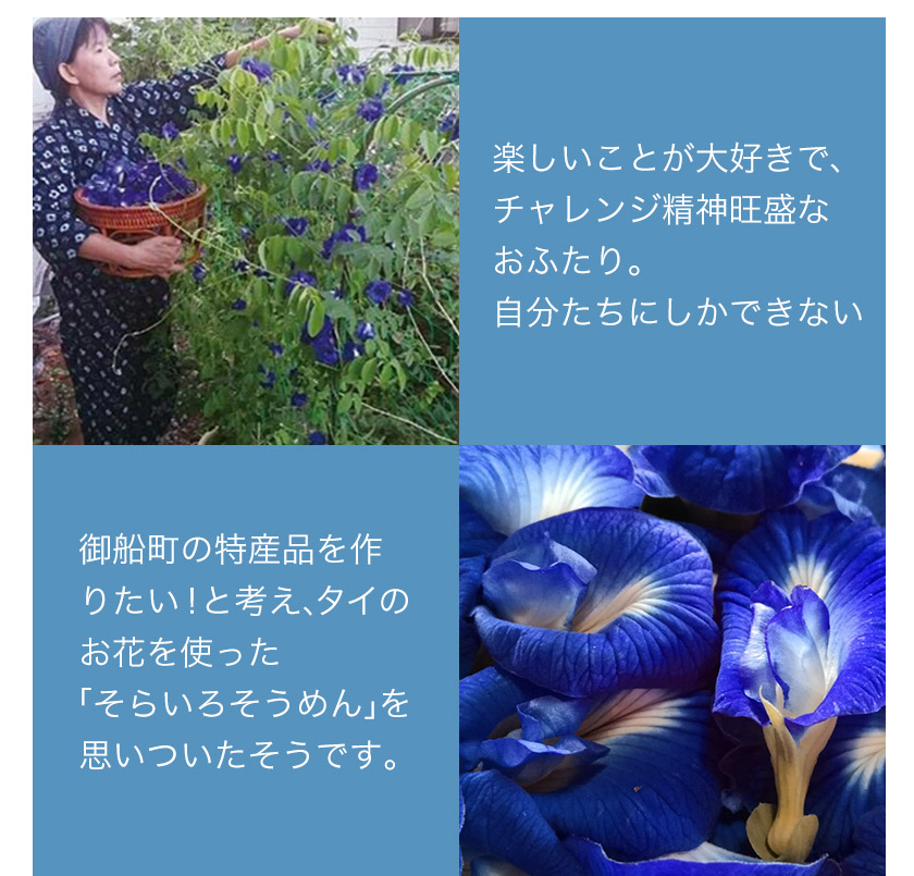【ふるさと納税】御船町 福永幸山堂のそらいろめん 3セット《30日以内に順次出荷(土日祝日除く)》 【ふるさと納税】御船町 福永幸山堂のそらいろめん 3セット《30日以内に順次出荷(土日祝日除く)》