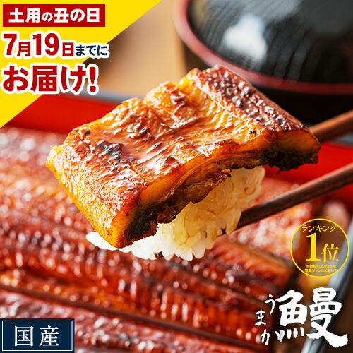 【ふるさと納税】うなぎ 特上 ご家庭用 国産  ランキング 獲得 鰻 真空パック おすすめ うなぎの蒲焼 《発送時期が選べる》 有頭 ふるさとのうぜい 鶏炭火焼 1尾 2尾 3尾 4尾 訳あり 定期便 簡易包装 不揃い 規格外 ウナギ unagi 蒲焼 秋 冬 旬 配送時期 冷凍