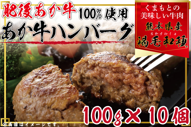 正規逆輸入品 肥後あか牛１００％使用 あか牛ハンバーグ１００g×１０個 訳あり コロナ支援 FKK19-219 orchidiapharma.com