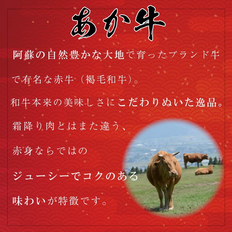 57%OFF!】 家計応援肥後あか牛入り手作りハンバーグ２４個 個包装 コロナ支援 訳あり FKK19-396 www.dexion.com.au