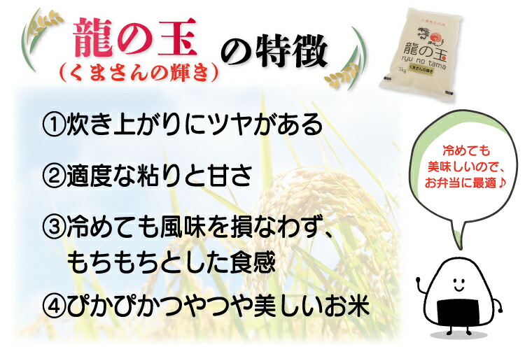 豪華で新しい 龍の玉 くまさんの輝き ぴかまる食べ比べセット 無洗米10kg 各5kg×1 訳あり コロナ支援 FKK19-390 qdtek.vn