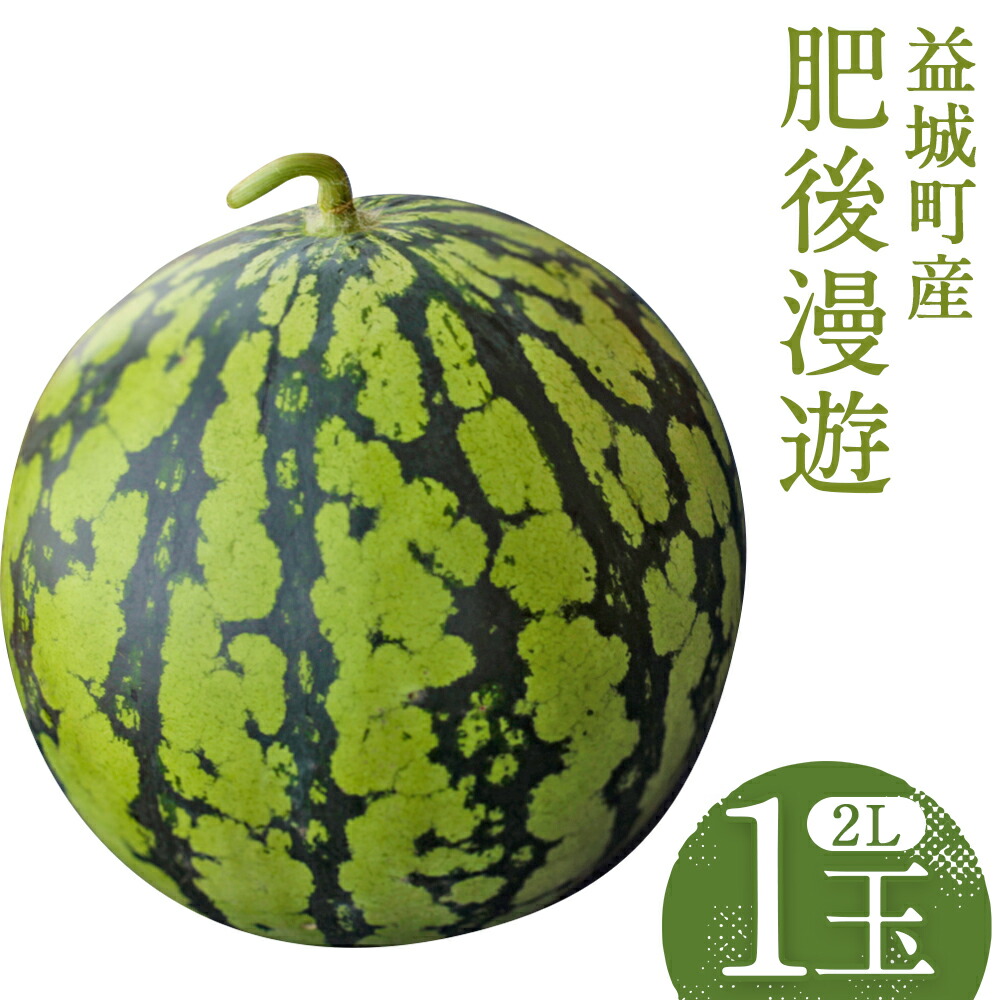 【ふるさと納税】スイカ 肥後漫遊 約7kg 1玉 2Lサイズ すいか フルーツ 果物 益城町産 熊本県産 九州産 送料無料