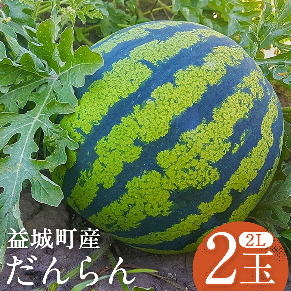 【ふるさと納税】スイカ だんらん 約7kg×2玉 合計約14kg 2Lサイズ すいか フルーツ 果物 益城町産 熊本県産 九州産 送料無料