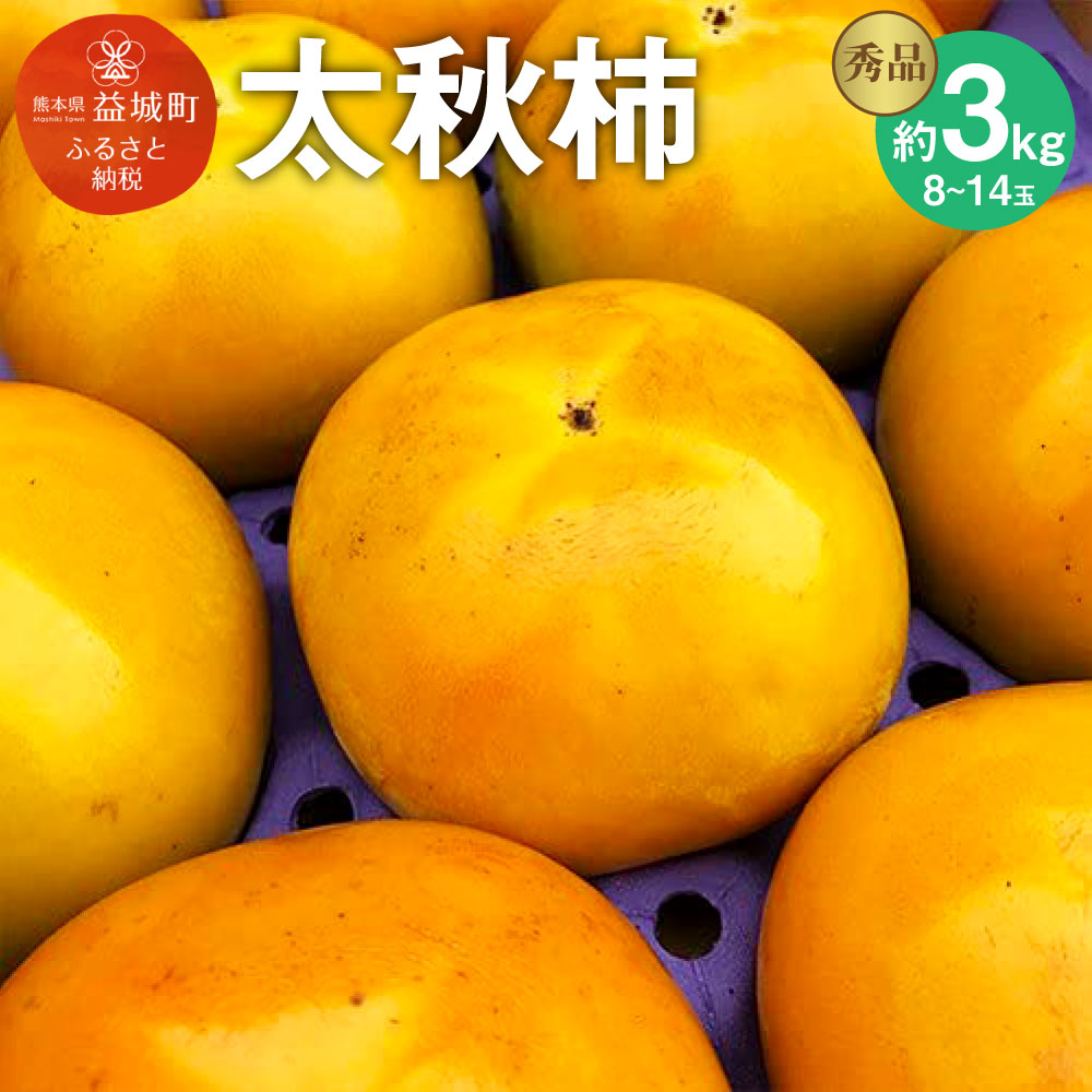 SALE／87%OFF】 太秋柿 秀品 約3kg 8~14玉 柿 果物 フルーツ 益城町産 熊本県産 九州産 送料無料 fucoa.cl