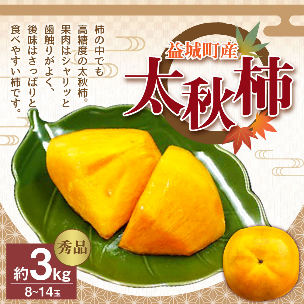 SALE／87%OFF】 太秋柿 秀品 約3kg 8~14玉 柿 果物 フルーツ 益城町産 熊本県産 九州産 送料無料 fucoa.cl