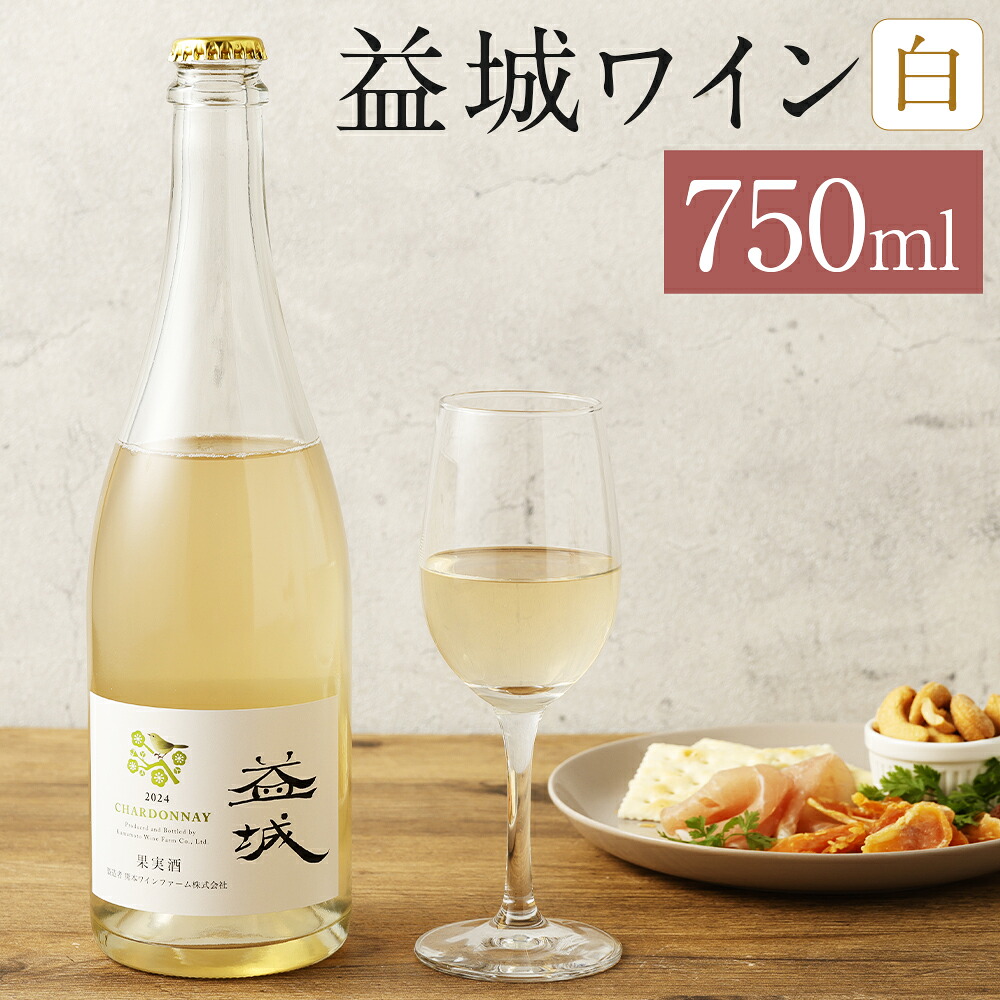 【ふるさと納税】益城ワイン 白 750ml 1本 白ワイン ワイン シャルドネ お酒 アルコール 益城町 熊本県 送料無料 10,800円