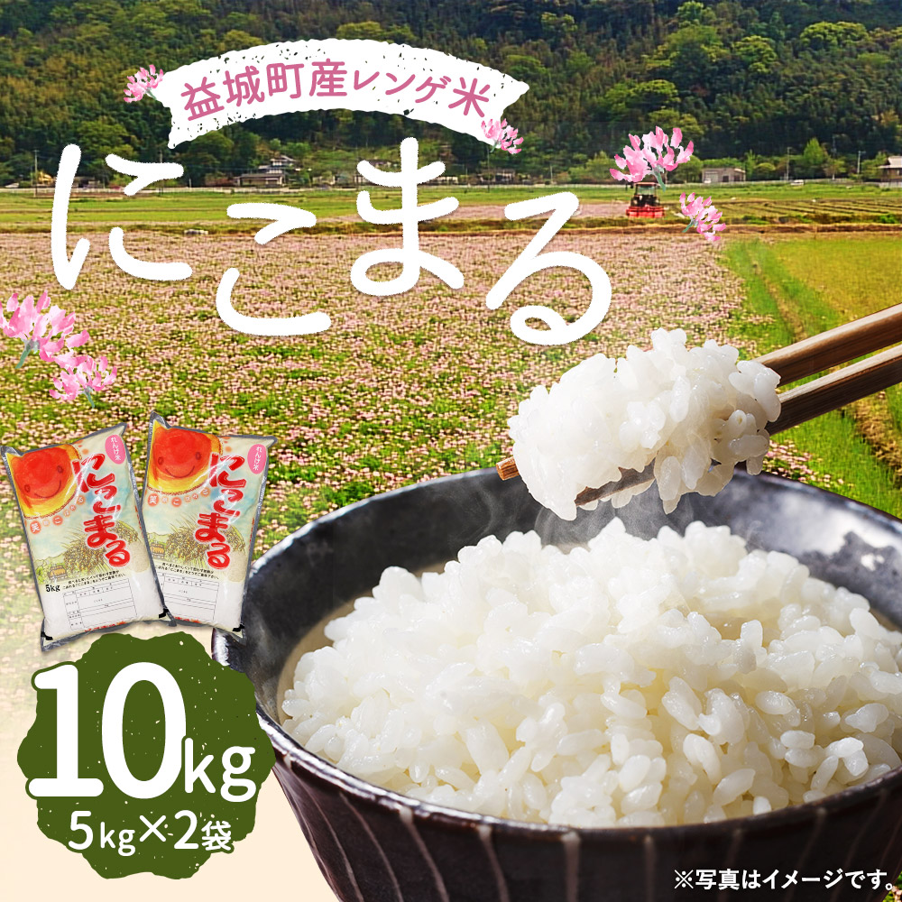 限定版 レンゲ米 にこまる 合計10kg 5kg×2袋 令和4年産 お米 米 精米 白米 れんげ米 熊本県産 九州産 益城町産 送料無料  fucoa.cl