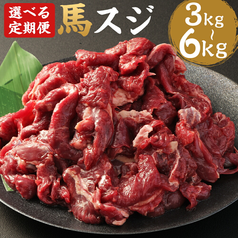 【ふるさと納税】【選べる定期便】馬スジ 合計1kg  3ヶ月定期便/6ヶ月定期便 1パック500g 馬肉 筋 馬すじ 熊本肥育 冷凍 送料無料