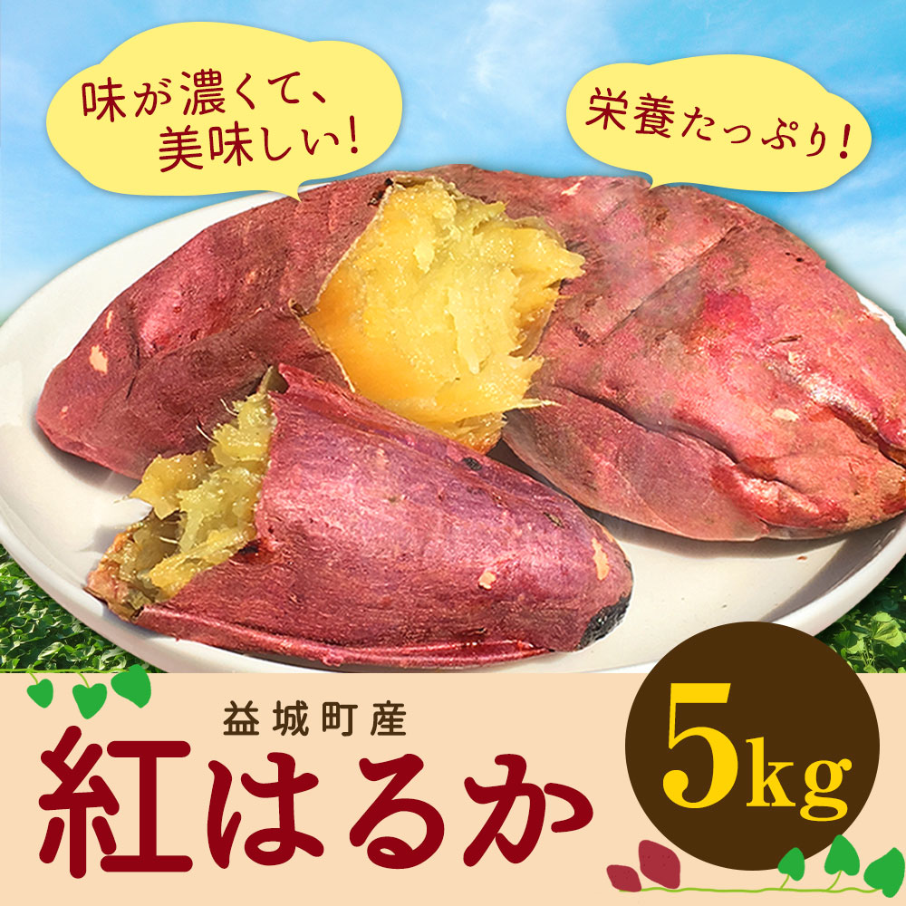 ふるさと納税 さつまいも 紅はるか 紅はるか 5kg サツマイモ さつま芋 芋 野菜 きのこ さつま芋 焼き芋 焼きいも 九州産 国産 送料無料 熊本県 益城町益城町の雄大な自然で育ったさつまいもです 見た目じゃなく 濃い美味しいさつま芋に育てました ふるさと納税 さつまいも 紅はるか 紅はるか 5kg サツマイモ さつま芋 芋 野菜 きのこ さつま芋 焼き芋 焼きいも 九州産 国産 送料無料 熊本県 益城町益城町の雄大な自然で育ったさつまいもです 見た目じゃなく 濃い美味しいさつま芋に育てました