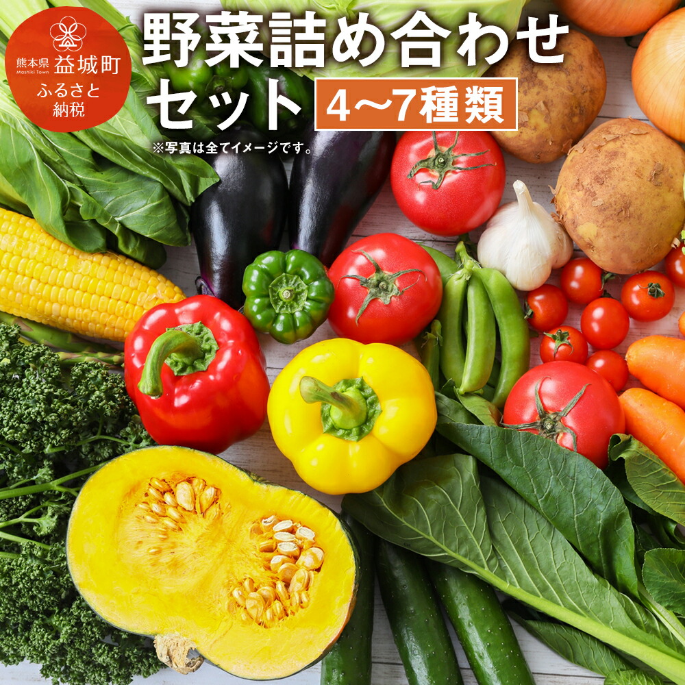 【ふるさと納税】季節の野菜詰め合わせセット 4～7種類 セット おまかせ 野菜 冷蔵 熊本県産 国産 九州産 春 旬 春野菜 送料無料