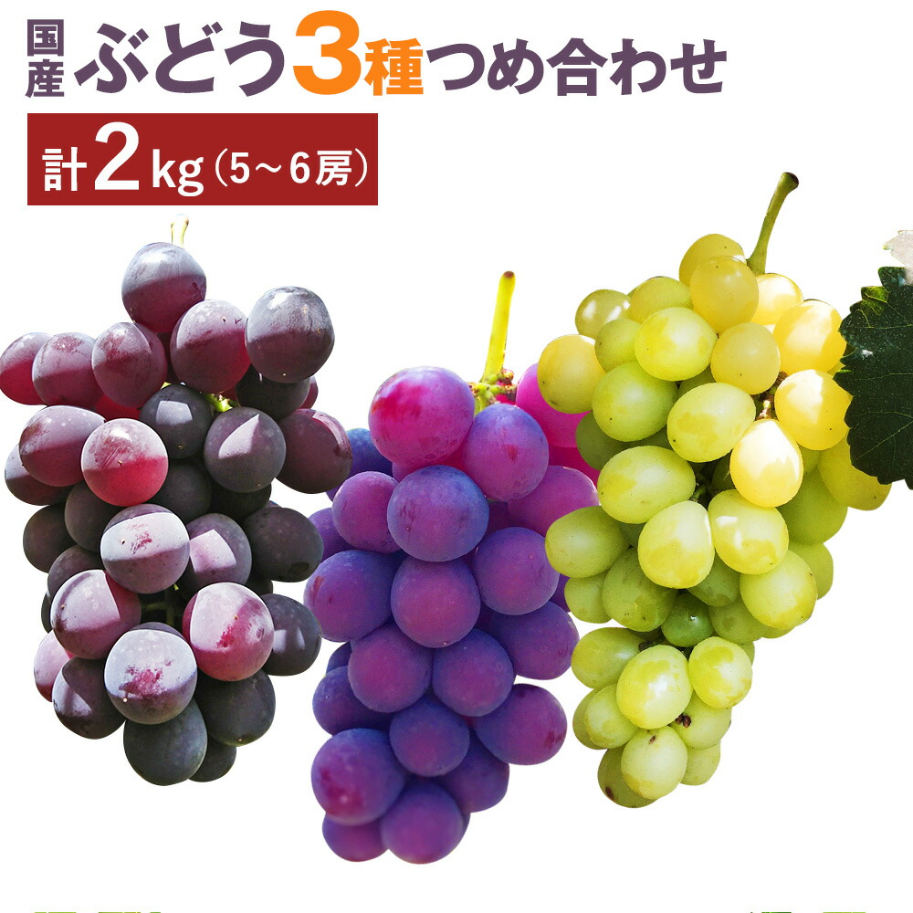 楽天市場 ふるさと納税 ぶどう3種詰め合わせ 合計2kg 5 6房 巨峰 イタリア 安芸クイーン 葡萄 フルーツ 果物 国産 熊本県産 益城町産 送料無料 熊本県益城町