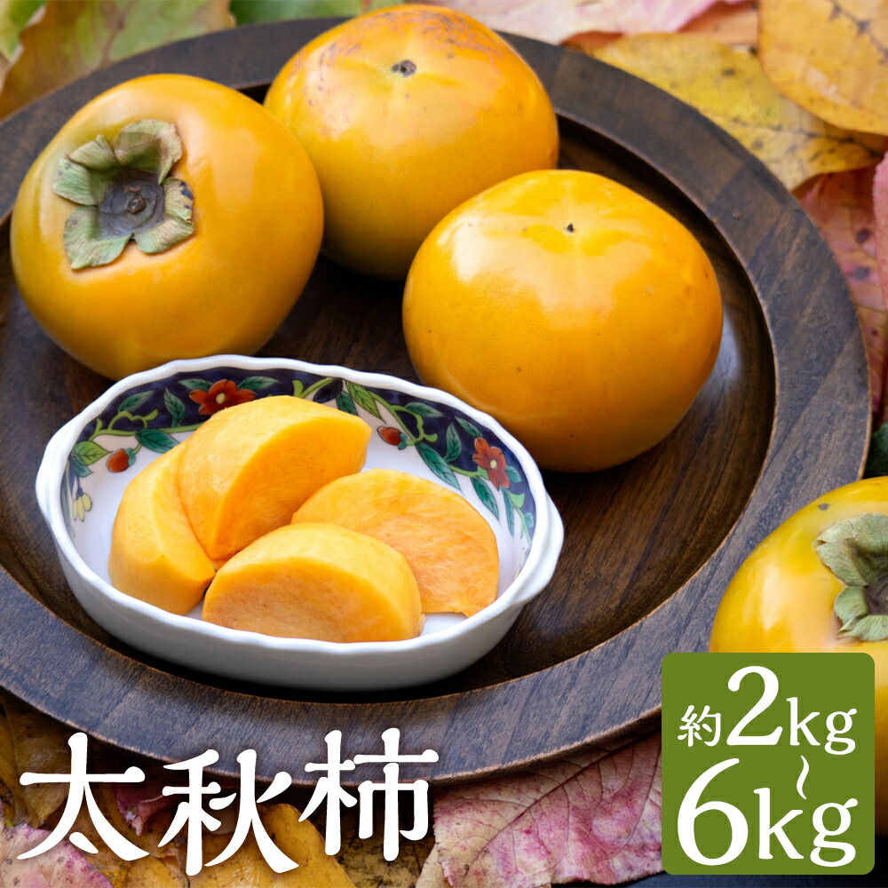 【ふるさと納税】太秋柿 約2kg/約3kg/約6kg 選べる内容量 柿 カキ 果物 熊本県産 九州産 冷蔵 送料無料【2025年10月上旬～11月上旬に順次発送予定】
