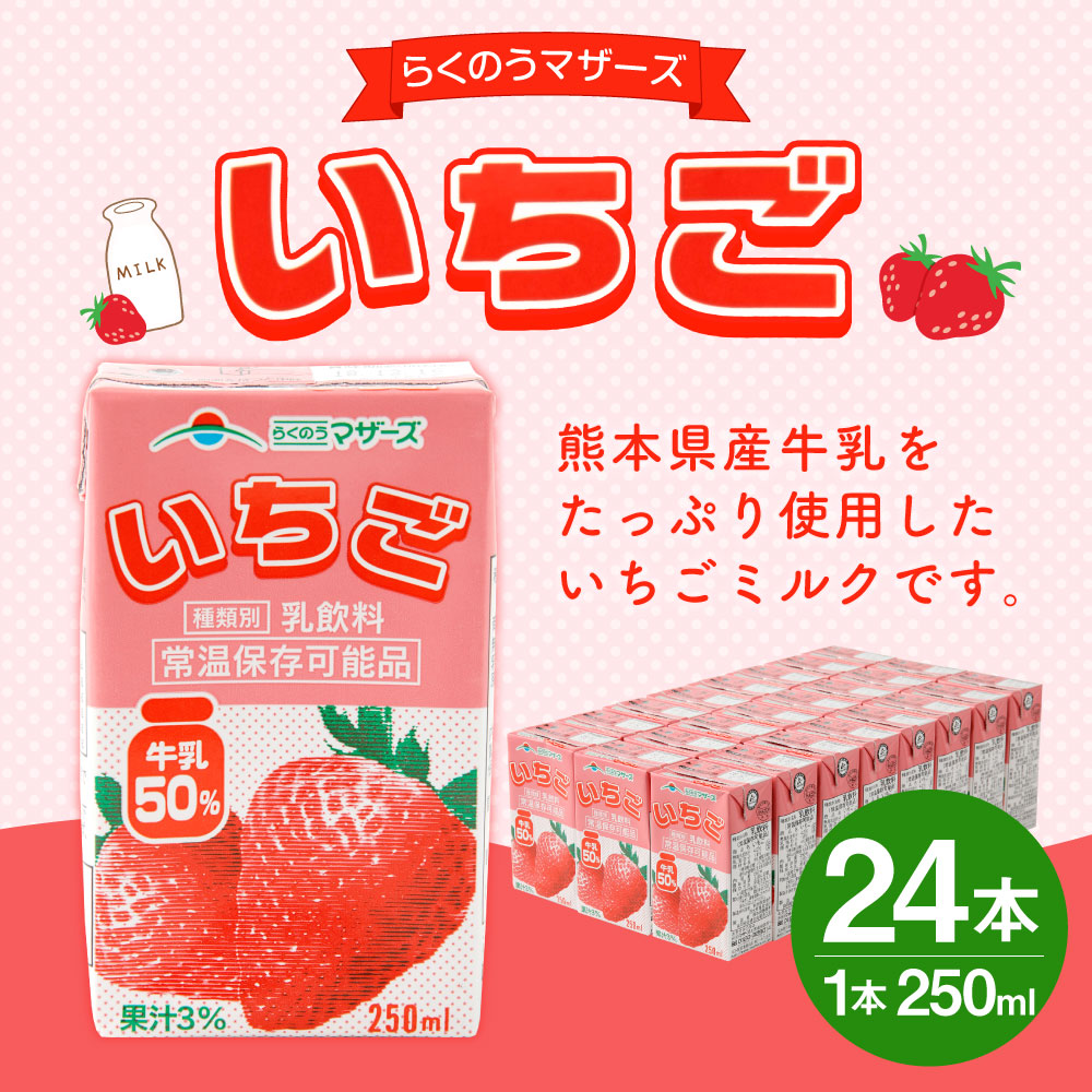 ふるさと納税 いちごミルク いちごみるく イチゴミルク 24本 250ml 24本 1ケース いちご 乳飲料 乳性飲料 らくのうマザーズ ドリンク 飲み物 飲料 セット 紙パック 常温保存可能 ロングライフ 送料無料 Salon Raquet De