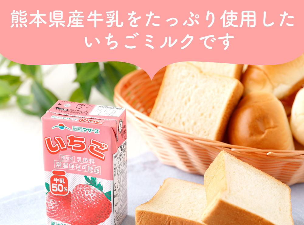 ふるさと納税 いちごミルク いちごみるく イチゴミルク 24本 250ml 24本 1ケース いちご 乳飲料 乳性飲料 らくのうマザーズ ドリンク 飲み物 飲料 セット 紙パック 常温保存可能 ロングライフ 送料無料 Salon Raquet De