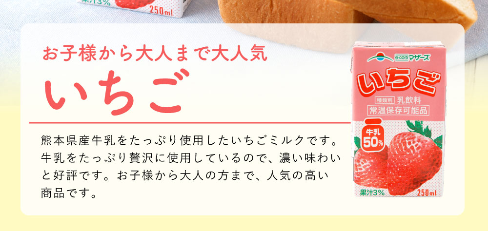 ふるさと納税 いちごミルク いちごみるく イチゴミルク 24本 250ml 24本 1ケース いちご 乳飲料 乳性飲料 らくのうマザーズ ドリンク 飲み物 飲料 セット 紙パック 常温保存可能 ロングライフ 送料無料 Salon Raquet De