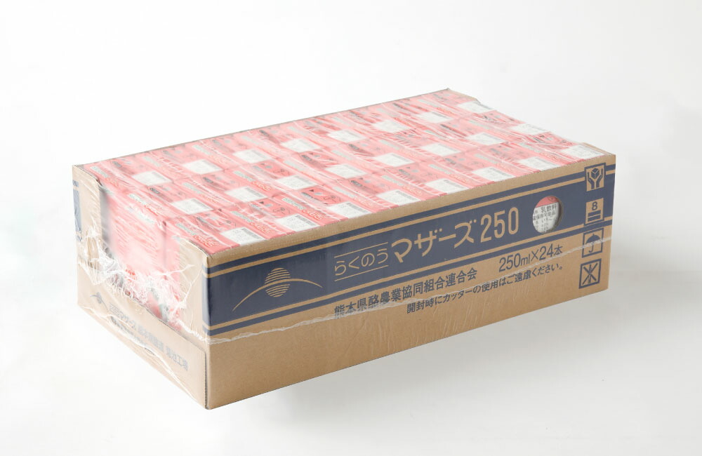 ふるさと納税 いちごミルク いちごみるく イチゴミルク 24本 250ml 24本 1ケース いちご 乳飲料 乳性飲料 らくのうマザーズ ドリンク 飲み物 飲料 セット 紙パック 常温保存可能 ロングライフ 送料無料 Salon Raquet De