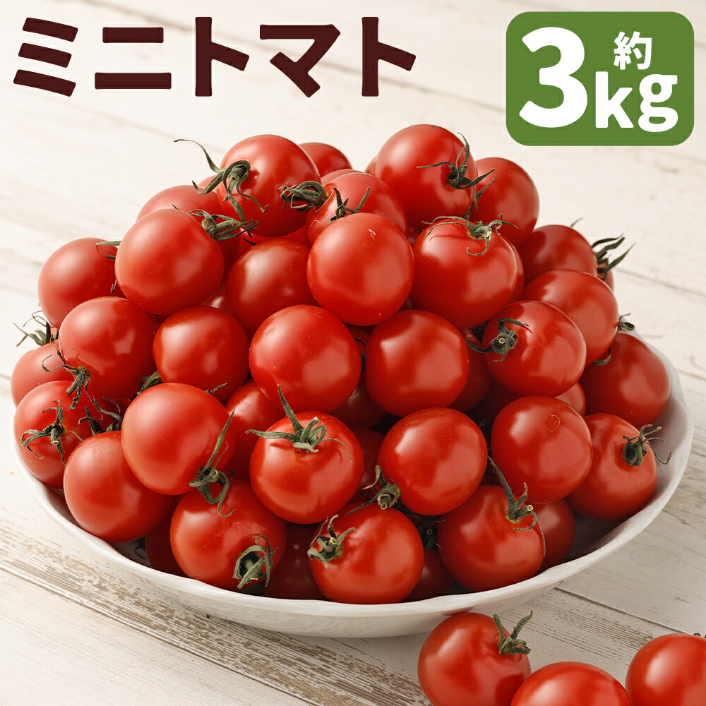【ふるさと納税】ミニトマト 約3kg トマト サンチェリーピュア 野菜 益城町産 熊本県産 九州産 国産 冷蔵 送料無料