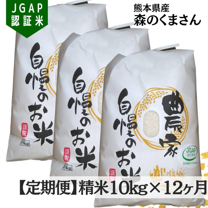 新着商品 楽天市場 ふるさと納税 毎月お届け 森のくまさん 熊本県産 精米10kg 定期便１２ヶ月コース 熊本県甲佐町 最安値 Lexusoman Com