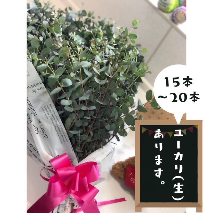 【ふるさと納税】ユーカリ（生）フラワーアレンジ - ブーケ 生花 アレンジメント 国産 熊本県産 切り花 15～20本 インテリア 虫よけ作用 人気 おすすめ 熊本県 甲佐町