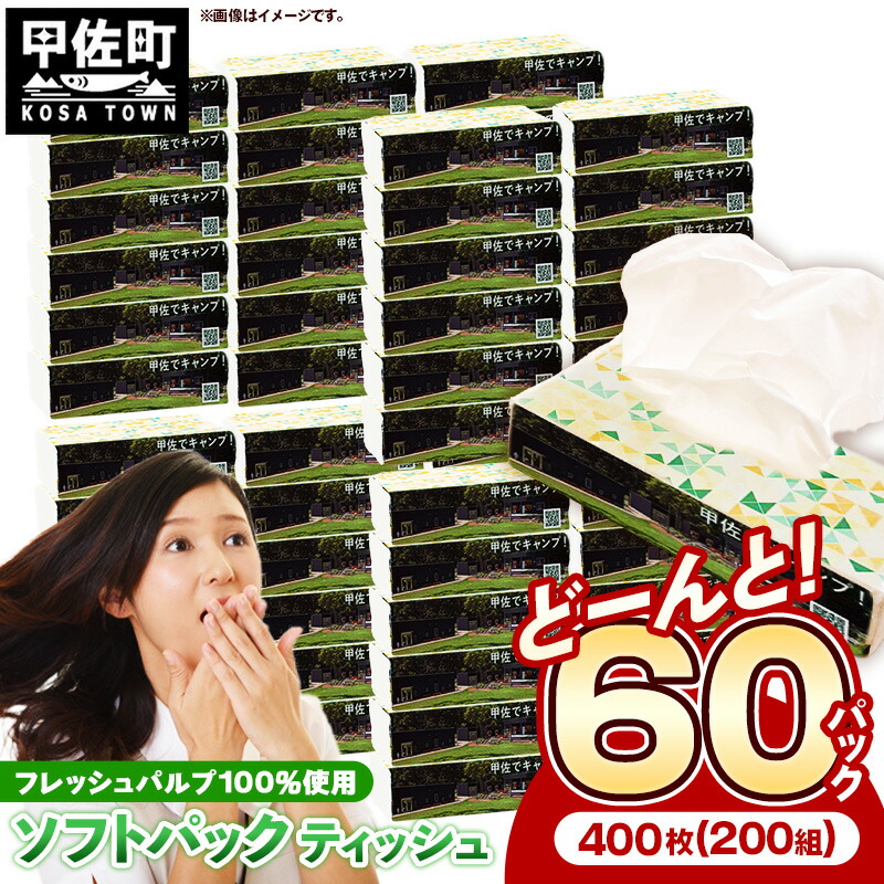 【ふるさと納税】ティッシュペーパーソフトパック ４００枚（２００組）６０容器に並べる - ホンブルグ帽容器に並べる ティッシュ 調査報告 やって行く装置 雑貨 日装置 不可欠品 紙 常備え付け まとめ買い 取っておく 防災 店卸し資産 熊本県 甲佐町【ZC】【通貨価値切り換えるXA】