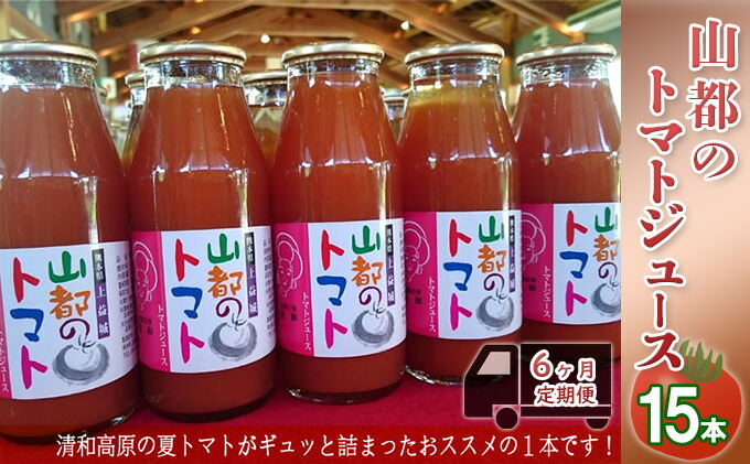最大59%OFFクーポン ふるさと納税 伊藤園 旬野菜ペットボトル 730g×15本 野菜ジュース 野菜飲料 健康飲料 健康 ヘルシー PET 定期便  全12回.. 宮崎県川南町