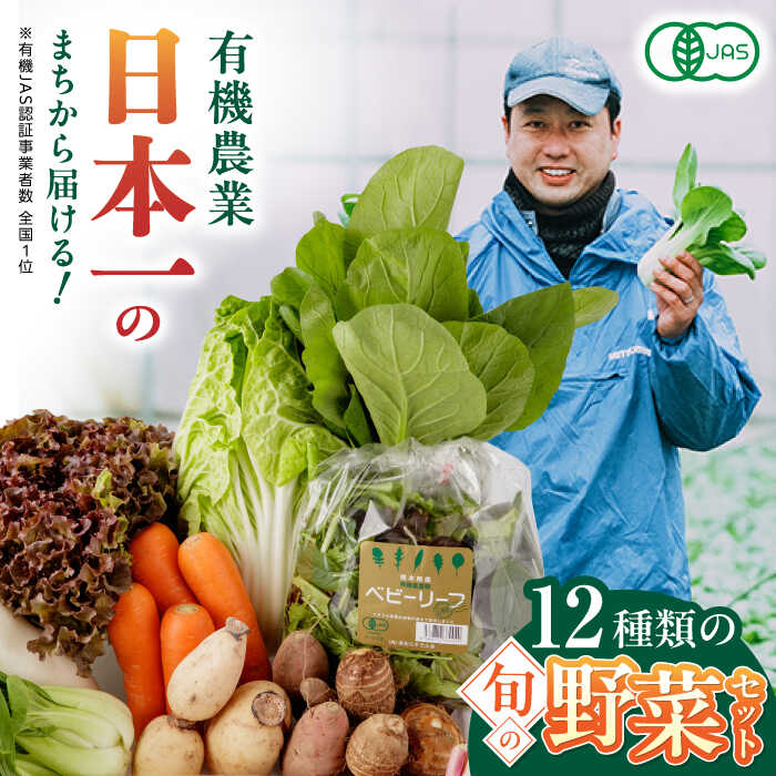 【ふるさと納税】有機野菜 オーガニック 12種 野菜セット 野菜 有機JAS認定 詰め合わせ オーガニック野菜 熊本県産  産地直送 熊本直送 【株式会社 肥後やまと】[YAF001]