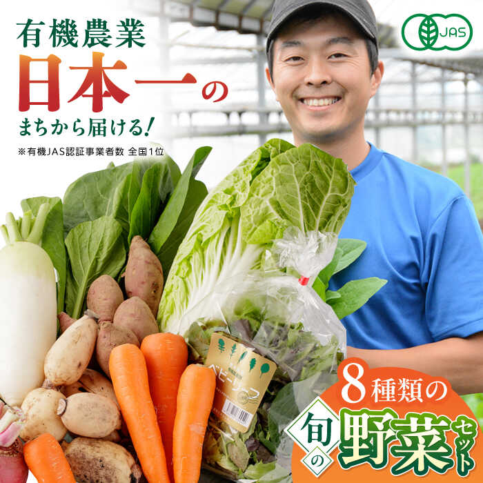 【ふるさと納税】有機野菜 オーガニック 8種 野菜セット 野菜 有機JAS認定 熊本県産 オーガニック野菜 産地直送 熊本直送【株式会社 肥後やまと】[YAF003]