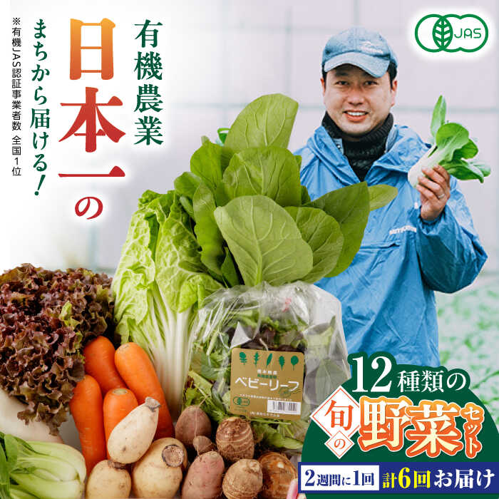 【ふるさと納税】【全6回隔週定期便】有機野菜 12種セット 野菜 詰め合わせ 熊本県産  産地直送  オーガニック【株式会社 肥後やまと】[YAF005]