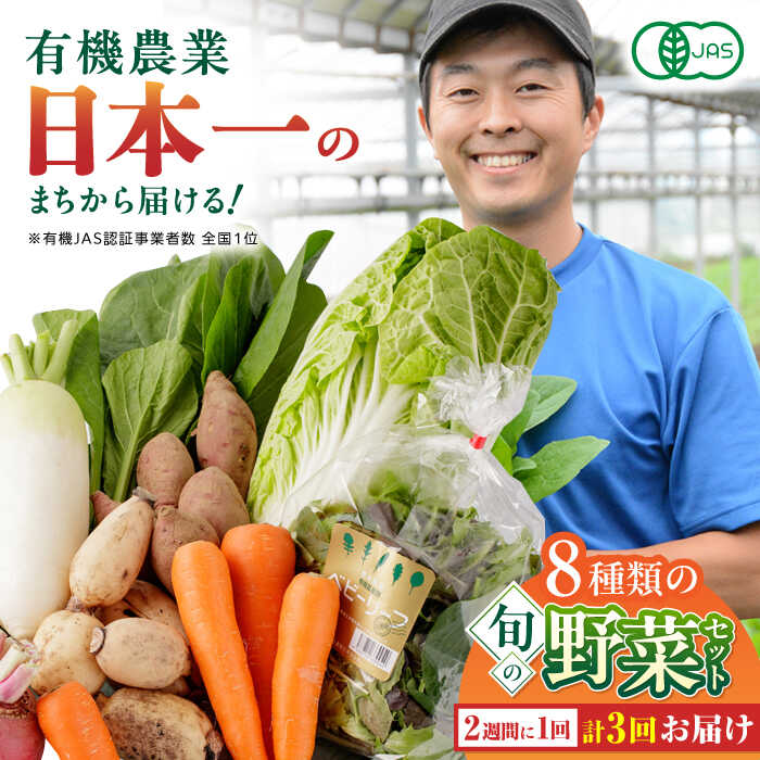 【ふるさと納税】【全3回隔週定期便】有機野菜 8種セット 野菜 詰め合わせ 熊本県産  産地直送 オーガニック【株式会社 肥後やまと】[YAF010]