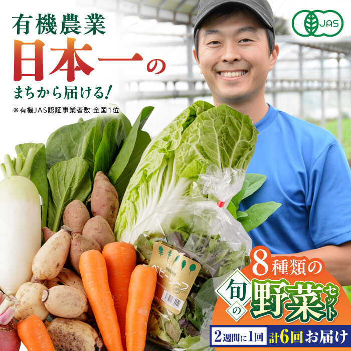 【ふるさと納税】【全6回隔週定期便】有機野菜 8種セット 野菜 詰め合わせ 熊本県産  産地直送 オーガニック【株式会社 肥後やまと】[YAF011]