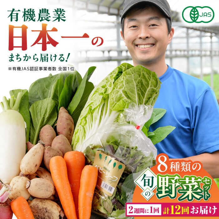 【ふるさと納税】【全12回隔週定期便】有機野菜 8種セット 野菜 詰め合わせ 熊本県産  産地直送 オーガニック【株式会社 肥後やまと】[YAF012]
