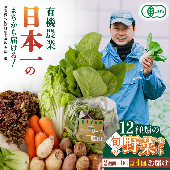 【ふるさと納税】【全4回隔週定期便】有機野菜 オーガニック 12種セット 野菜 有機JAS認定 詰め合わせ オーガニック野菜 熊本県産  産地直送 熊本直送 【株式会社 肥後やまと】[YAF016]