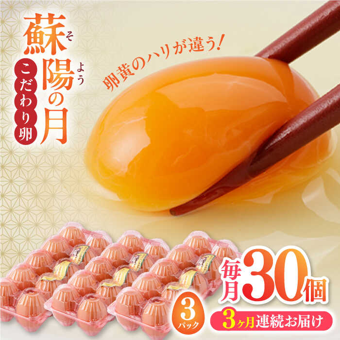 【ふるさと納税】【全3回定期便】 山都町 たまご 卵 玉子 タマゴ 鶏卵 オムレツ 卵かけご飯 朝食 料理 人気 卵焼き【蘇陽農場】[YBE018]