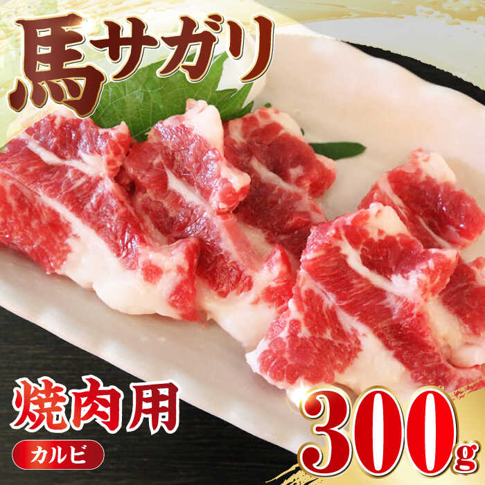 【ふるさと納税】【数量限定】馬サガリ 300g カルビ 焼肉 熊本 馬肉 冷凍 馬 サガリ さがり 肉 お肉 バーベキュー BBQ ヘルシー ジビエ 加熱用【山都町（阿蘇牧場）】[YDF025]