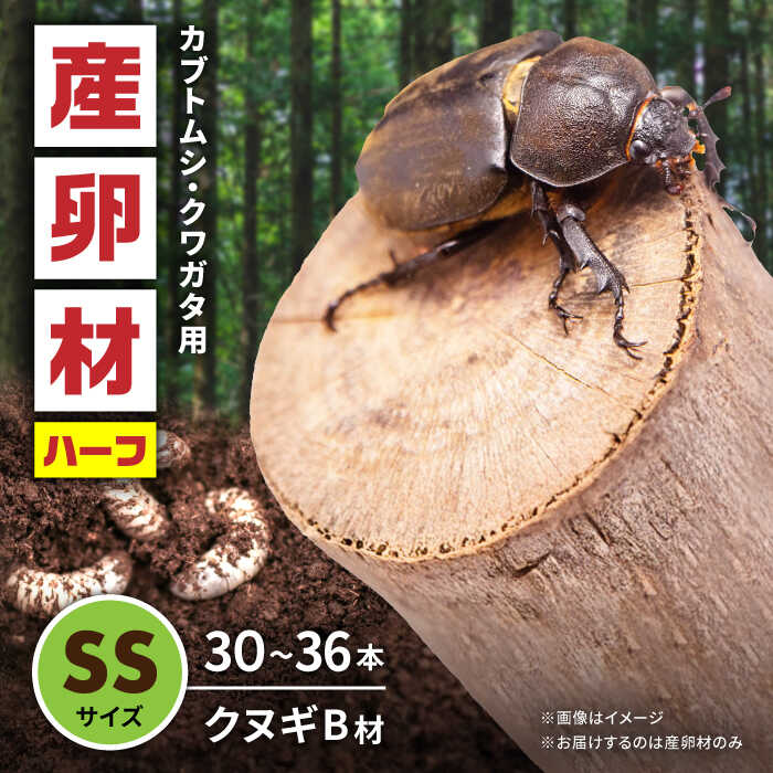 クヌギ　カブトムシ　クワガタ用 楽天市場】マルカン くぬぎ昆虫マット 10リットル カブトムシ