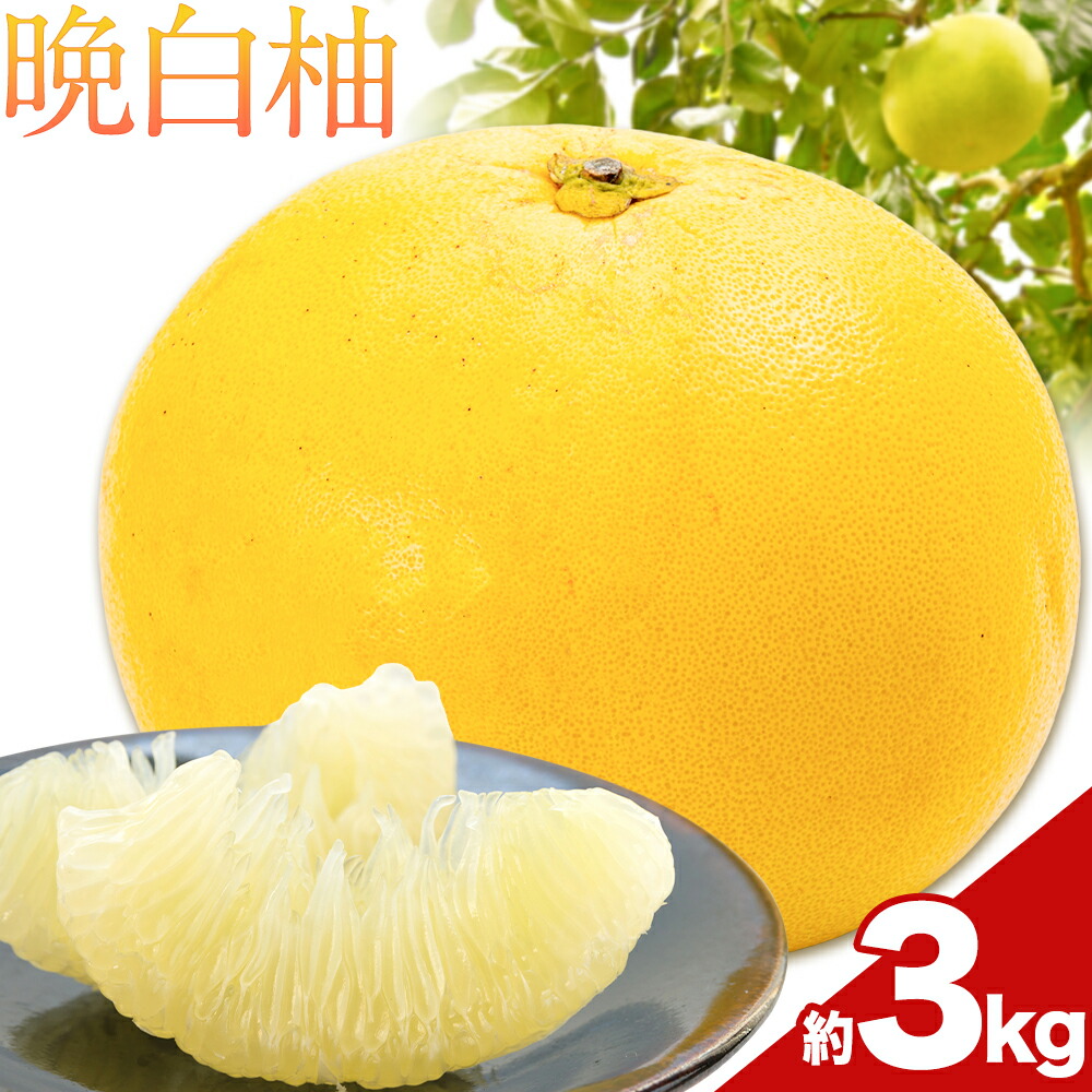 【ふるさと納税】先行予約 晩白柚 約3kg 株式会社エフビーネット《12月上旬-1月下旬頃出荷》熊本県 氷川町 果物 フルーツ 熊本県産 ジューシー ばんぺいゆ バンペイユ