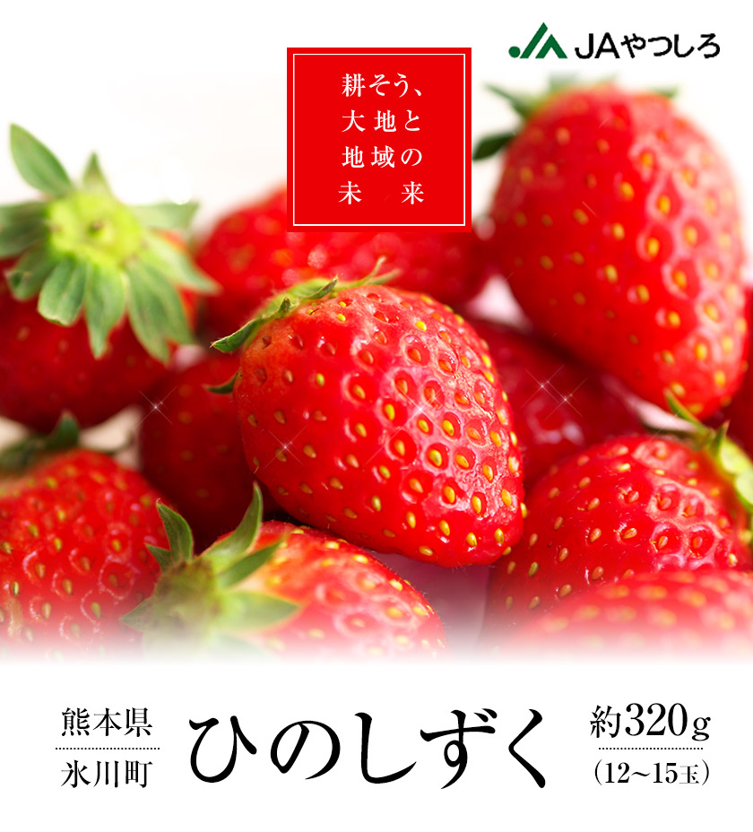 楽天市場 ふるさと納税 ひのしずく ゆりカ ゴ 3g 12 15玉 Dx 4lサイズ 熊本県氷川町産 ひのしずく いちご 1月中旬 2月下旬頃より順次出荷 Jaやつしろ和鹿島いちご部会 熊本県氷川町